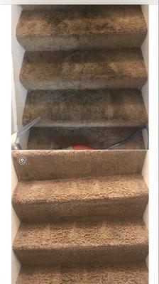 Carpet steam cleaning for residential