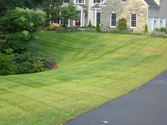 Lawn Maintenance