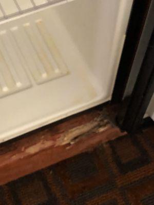 Rotten wood in the refrigerator cabinet