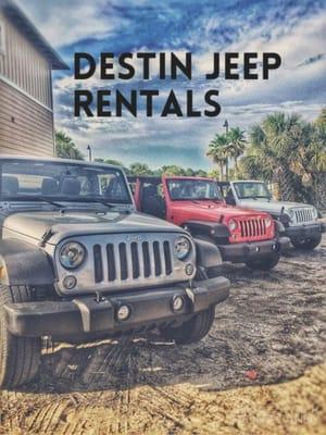 3 jeeps on rent to one family