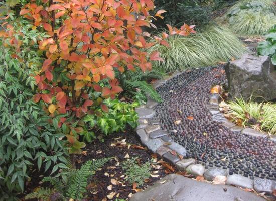 We have a cobblestone walking path in our secret garden!  Please take off your shoes and walk on it everyday for your health!