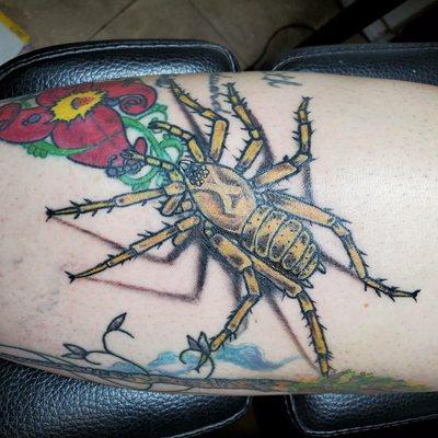 3D spider on leg