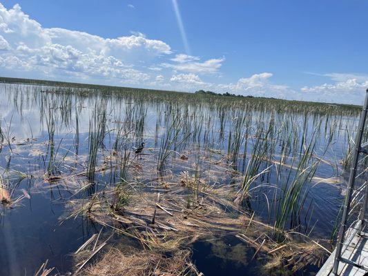 Sawgrass Recreation Park