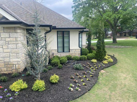 Landscape and curb appeal