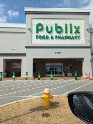 Publix Super Market at The Pinnacle at Providence