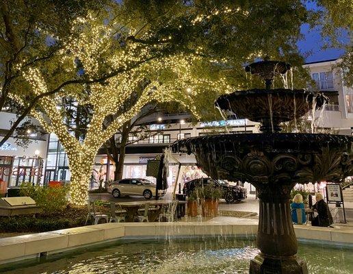 Fountain and lighted trees in the park area of Hyde Park Village