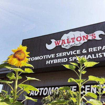 Beautiful day at Walton's Automotive