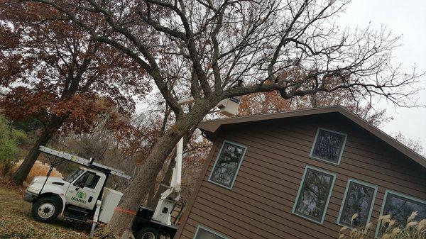 Hummel Tree Service