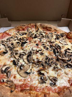 Mushroom pizza