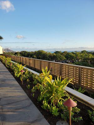 View of Diamond Head from the Pool Deck