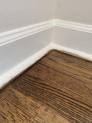 Stain all over the trim! Unacceptable from a professional flooring company.