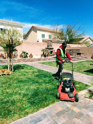 Navarro Landscaping