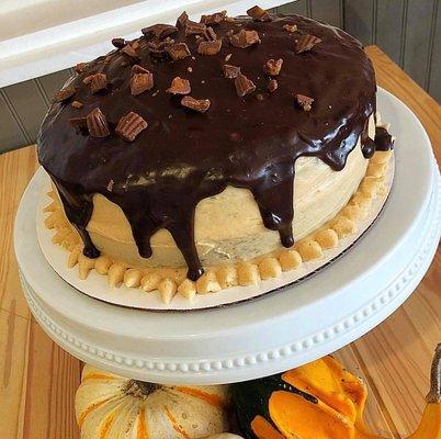 Chocolate Peanut Butter Cake