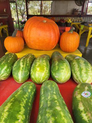 Baty's Fruitstand & Palm Tree Nursery