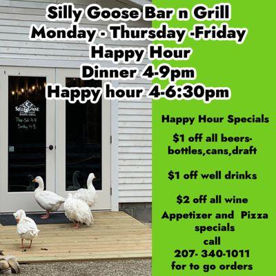 Silly Goose Bar N Grill