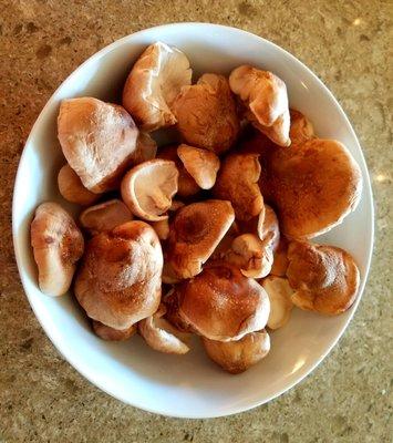 Half pound of stellar shitake mushrooms