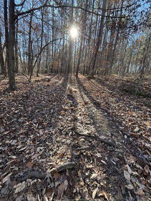 Trail hike on Xmas Eve eve.