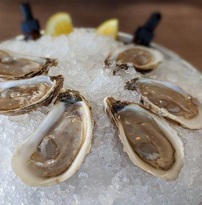 Oysters, came out quickly and then a huge hour gap till anything else appeared.