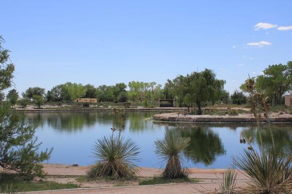 Pond @ Oasis State Park