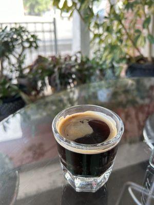 double shot espresso w/plants in the background