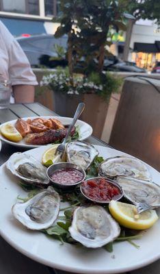 Oysters and grilled octopus