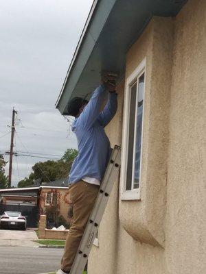 Screening vents to keep birds out