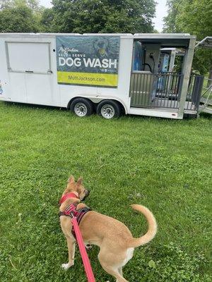 Mobile dog wash conveniently outside the beach