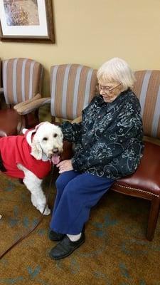 SafeHaven visits 8 rest homes every month via their 'Pet Therapy' Program.