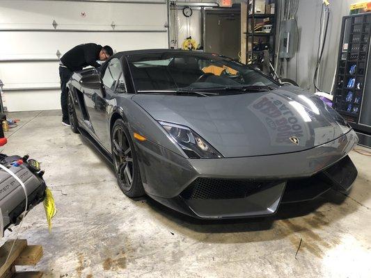 Lambo Xpel Paint Protection job.