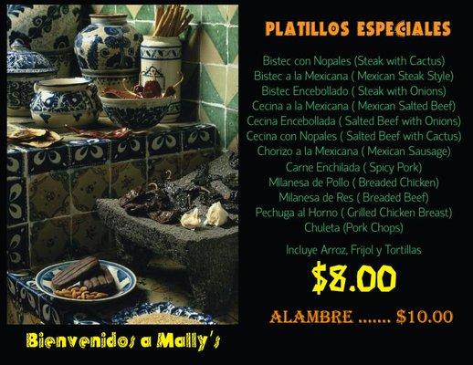 PLATILLOS MALLYS