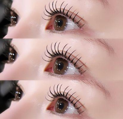 Lash Lift & Tint Korean Style