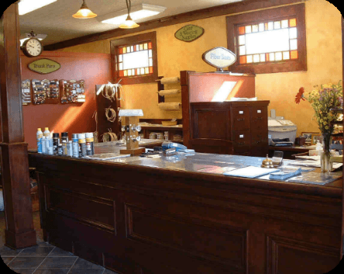 Store Counter