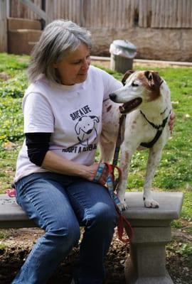 Jax enjoying an afternoon walk with volunteer Carin.