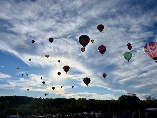 Carolina Balloon Fest