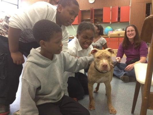 Rocky the foster pup helping teach empathy and dog safety at Project Mickey in Baltimore