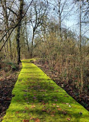 Scappoose Bay Marine Park