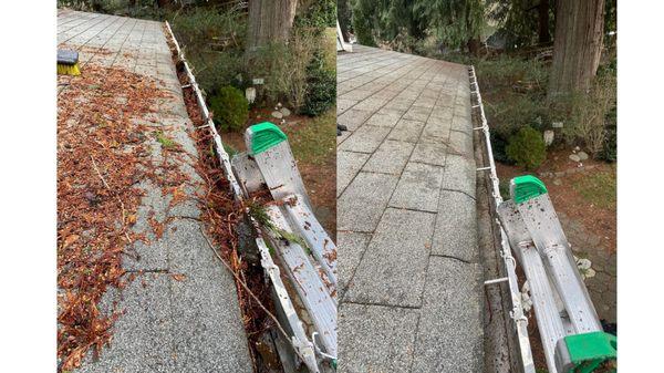 Gutter and Downspout Cleaning