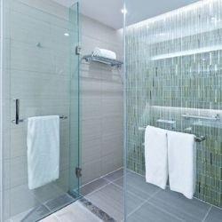 Frameless shower enclosure