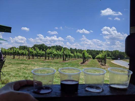 Beautiful view while enjoying our tasting.