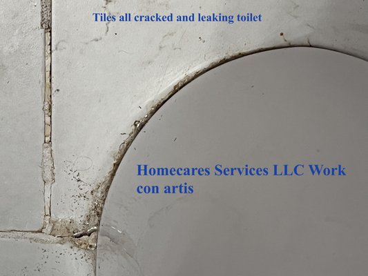 Leaking toilet
 Cracked Tiles after 8 months