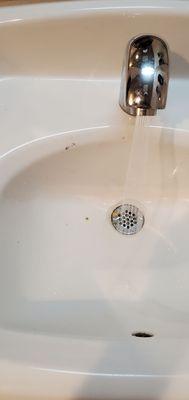 Gross sink. No soap either.