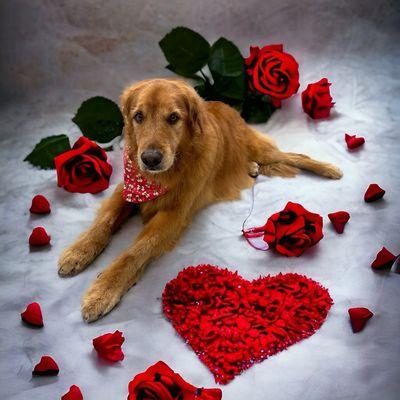 Valentine pic.Handsome!