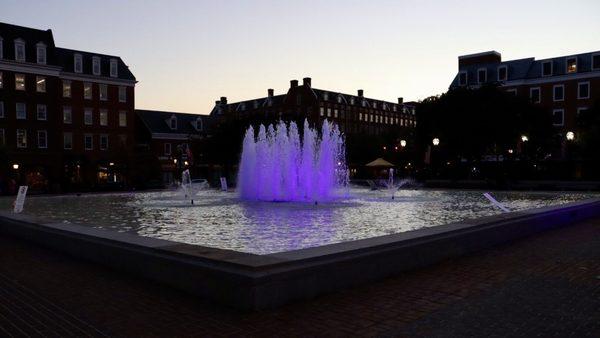 Purple fountain for Domestic Violence Awareness.