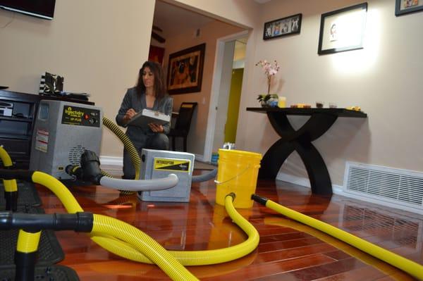 Sky Blue Drying my Living room hardwood floor