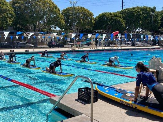 Stand Up Paddle Board