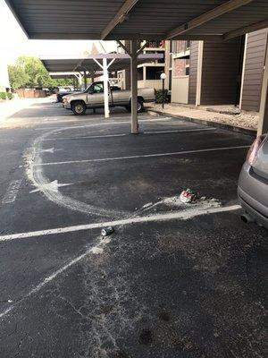 Someone dragged their dirty cat litter from their apartment to the parking lot.