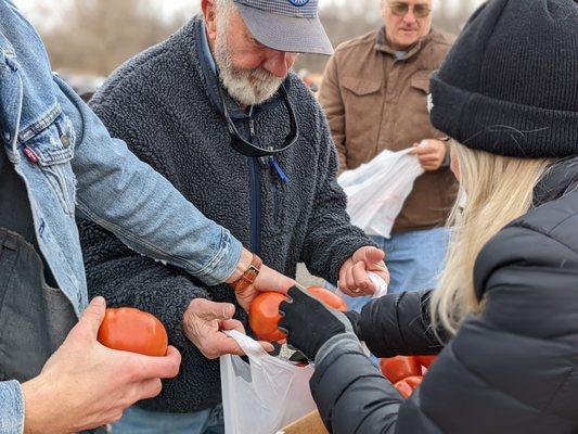 Volunteers bag tomatoes at a OneGenAway mobile food pantry distribution.