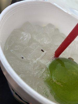 Bugs, nats, flies, Limeades