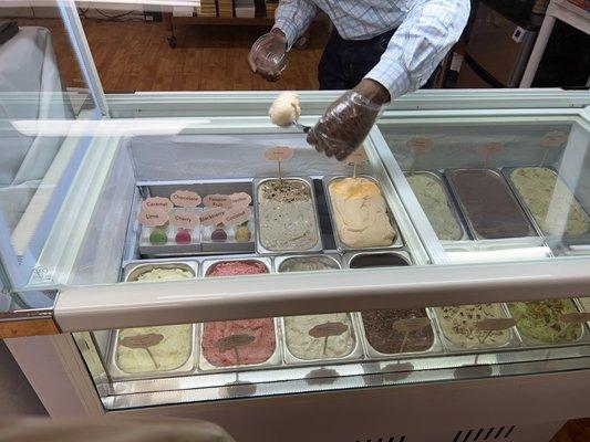 Ice cream, gelato and sorbet options