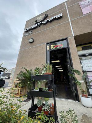 Exterior of Isa's Plants and Orbit Vape